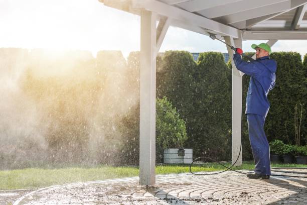 Best Fleet Vehicle Washing  in Erwin, TN
